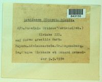 Image Associated With the Occurence